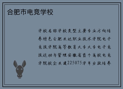 合肥市电竞学校